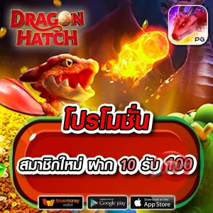 สล็อต ak-fun